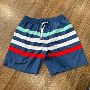 Chubbies Men's Striped Swim Shorts - Blue, Red, White, Green